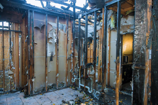 Professional Fire Damage Assessment technician working in Williston, SC